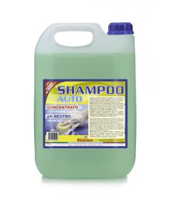 SHAMPOO PER AUTO - 5 LITRI. - RHUTTEN.